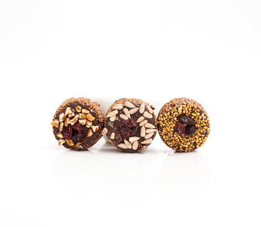 Tamborcitos 100% amaranto con piloncillo y chocolate semiamargo 3 pzas